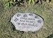   - Dogs Leave Paw Prints on our Hearts Tiding Stone