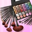 78 Palette Lidschatten Lipglo� Rouge + 24 Pinsel Set mit ETUI