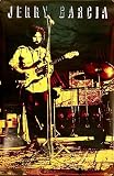 Jerry Garcia Grateful Dead Stratocaster 23x35 Poster