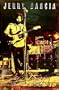 Jerry Garcia - Grateful Dead - Stratocaster 23x35 Poster