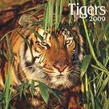 Tigers 2009 7X7 Mini Wall Calendar