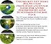 Check out The Secret Get More Biz, Success Principles and Inner Game for Anime Figurines On-line Businesses 3 Course Pack