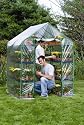 Garden Starter Greenhouse