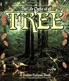 Tree (Life Cycle of A...)