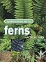 Gardening with Ferns