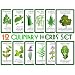 Assortment of 12 Culinary Herb Seeds - Grow Cooking Herbs- Parsley, Thyme, Cilantro, Basil, Dill, Oregano, Sage, More