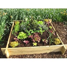 The Chamberlain Wooden Raised Grow Bed - 1m x 1m