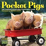Pocket Pigs Mini Wall Calendar 2016