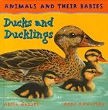 Ducks and ducklings