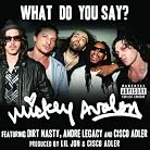 Mickey Avalon - What Do You Say? mp3 download