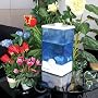Smarthome 14 Plant Watering System, White