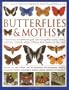 The Illustrated World Encyclopedia of Butterflies and Moths: A Natural History and Identification Guide