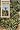 Agaves, Yuccas, and Related Plants: A Gardener's Guide