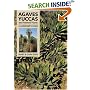 Agaves, Yuccas and Related Plants: A Gardener's Guide