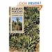 Agaves, Yuccas, and Related Plants: A Gardener's Guide