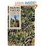 Agaves, Yuccas and Related Plants: A Gardener's Guide