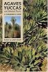 Agaves, Yuccas, and Related Plants: A Gardener's Guide