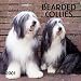 Bearded Collies 2001 Calendar