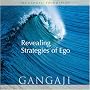 Revealing Strategies of Ego (Audio CD)