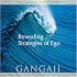 Revealing Strategies of Ego (Audio CD)