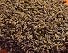 Kitchen & Housewares : Lavender Bulk - 1 Ounce - Native Scents