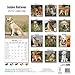 Golden Retriever Calendar - Breed Specific Golden Retriever Calendar - 2015 Wall calendars - Dog Calendars - Monthly Wall Calendar by Avonside