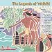 Legends of Waikiki