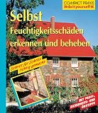 Selbst Feuchtigkeitsschäden erkennen und beheben: Schritt für Schritt richtig gemacht