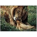 Wild Tenderness 500-pc. Puzzle