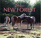 Perfect New Forest
