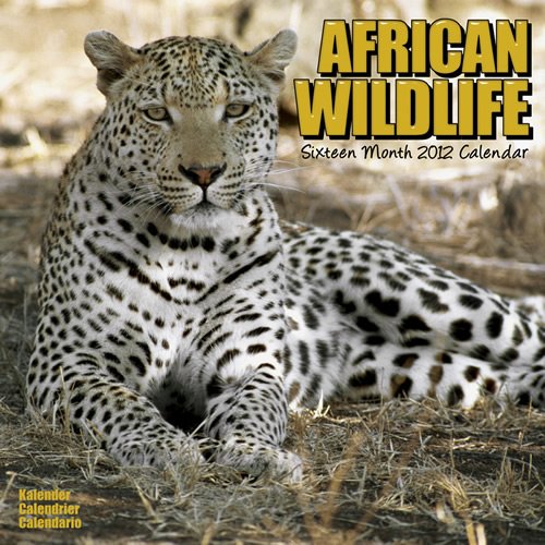 African Wildlife 2012 Wall Calendar #30100-12