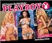 Playboy- Playmate a Day 2013 Calendar