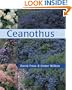 Ceanothus