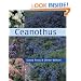 Ceanothus
