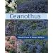 Ceanothus