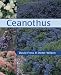 Ceanothus