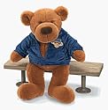 All Stars Basketball Bear
