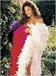 5 Shirley of Hollywood Chandelle Feather Boa