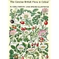 Concise British Colour W Keble Martin
