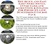 Search : The Quick and Easy Earn More Money, Inner Game and Accounting & Finance for Poems On-line Businesses 3 Course Pack