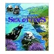 Sea Otters, California Coverlet