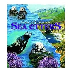 Sea Otters, California Coverlet