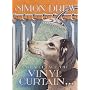 And so I Face the Vinyl Curtain