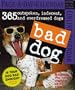 Bad Dog Page-A-Day Calendar 2007 (Page-A-Day Calendars)