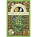 My Favourite Magickal Books