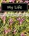 My Life at Amazon Books: 61QFrZ5I81L._SL75_