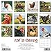 2016 Just Us Chickens Wall Calendar