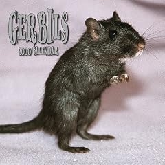 Gerbils 2000 Calendar