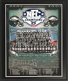 2004 Philadelphia Eagles NFL Football NFC Championship 11x13 Plaque