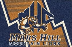 Mars Hill Mountain Lions 7' 8" x 10' 9" Team Spirit Area Rug